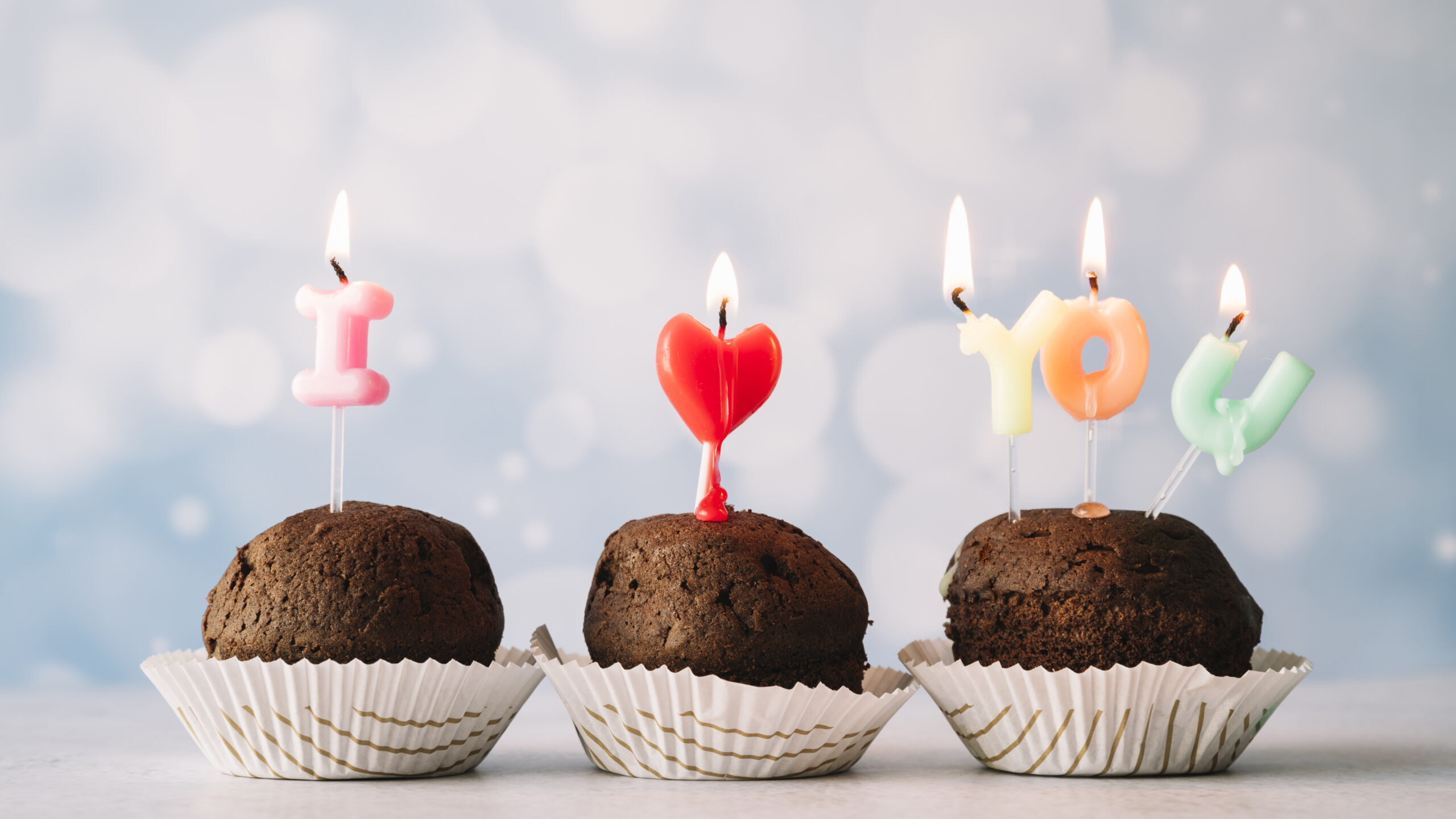 Celebrating Your Dog’s Milestones